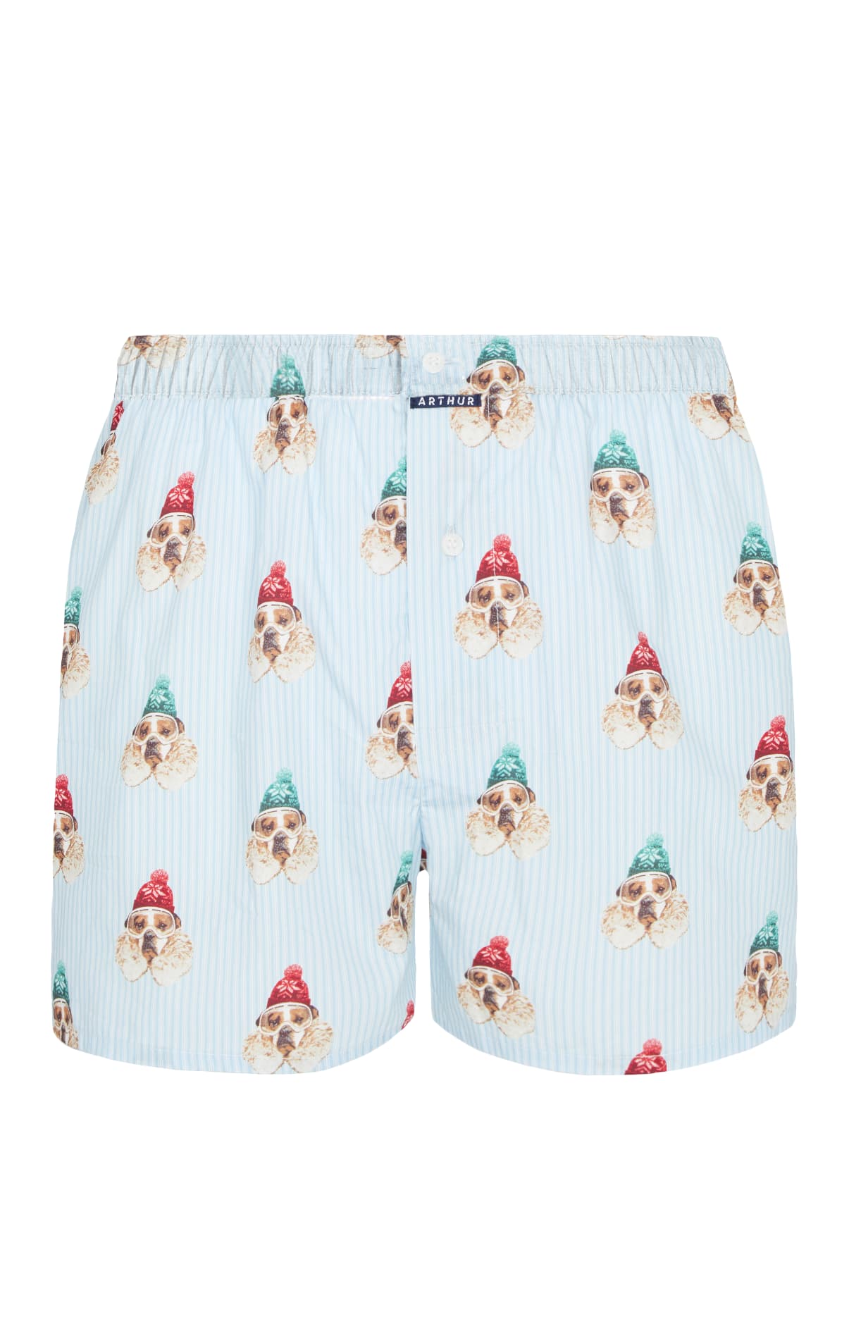 Caleçon classique Homme Chien des Montagnes Bleu 3