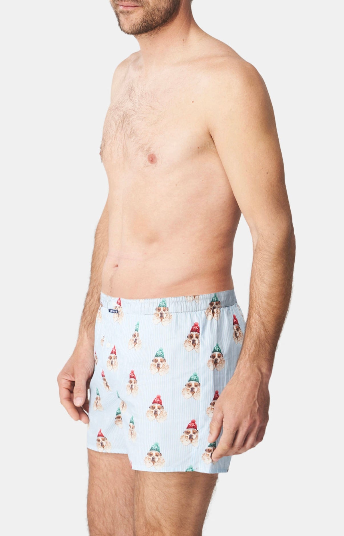 Caleçon classique Homme Chien des Montagnes Bleu 4