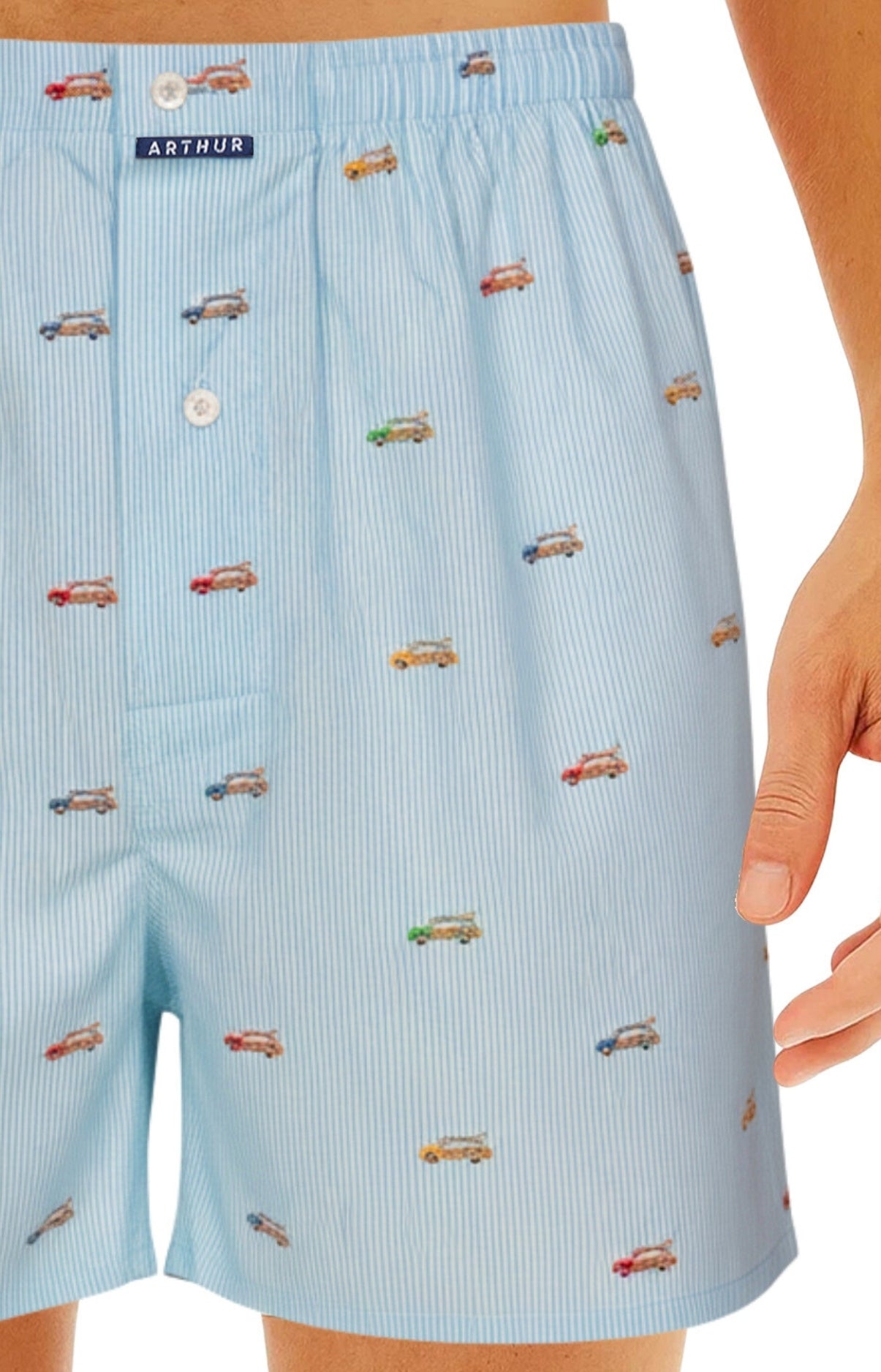 Caleçon classique Homme Van Rayures bleu 2