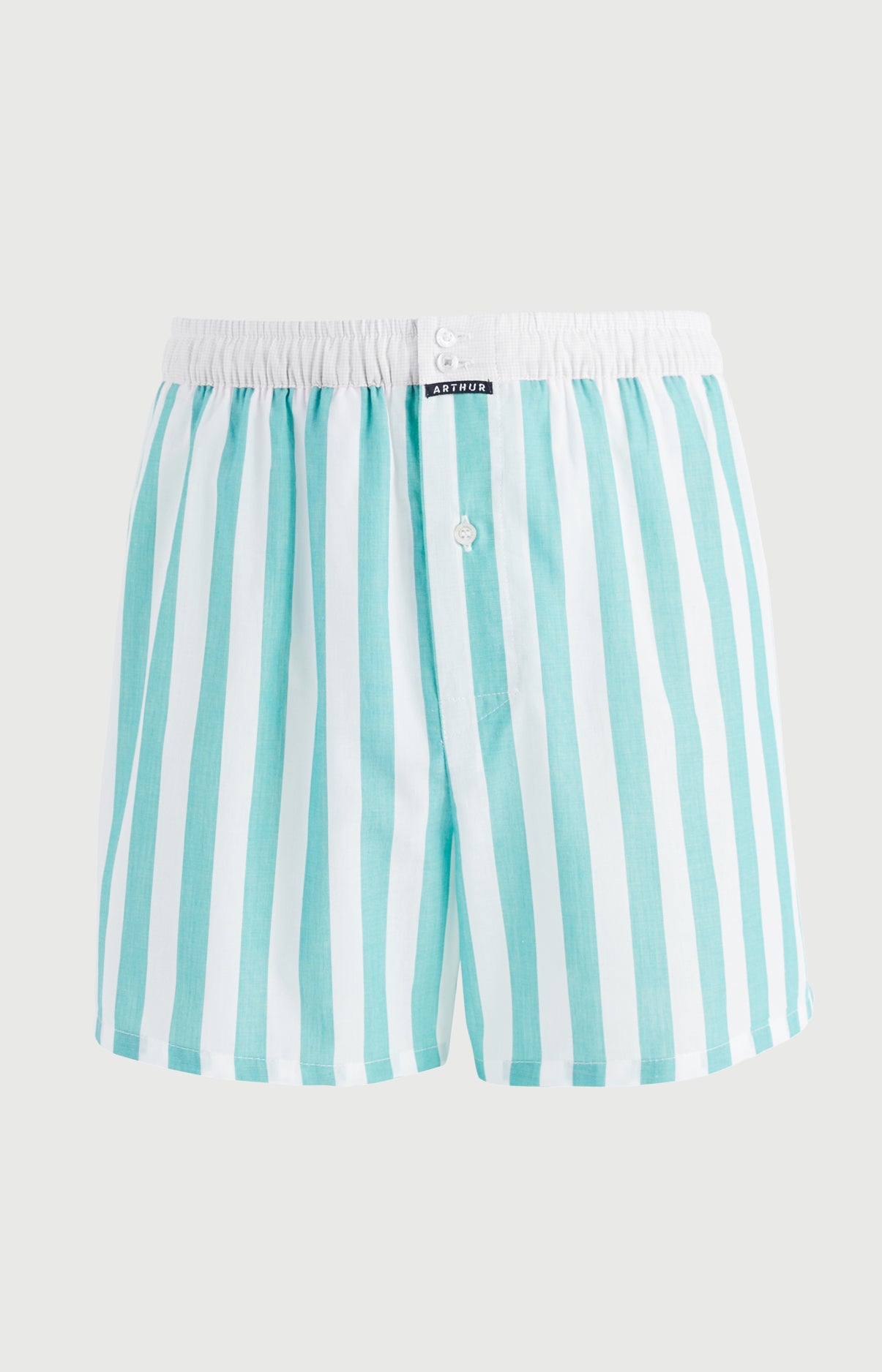 Caleçon avec suspensoir Le Club n°1212 Imprimé rayures vertes et blanches élastique blanc 3