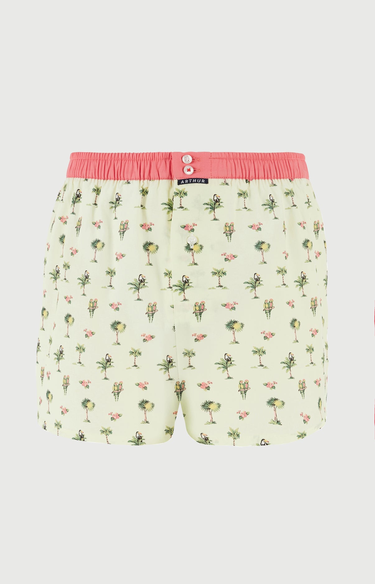 Caleçon avec suspensoir Le Club n°1225 Imprimé perroquets et palmiers élastique rose 3