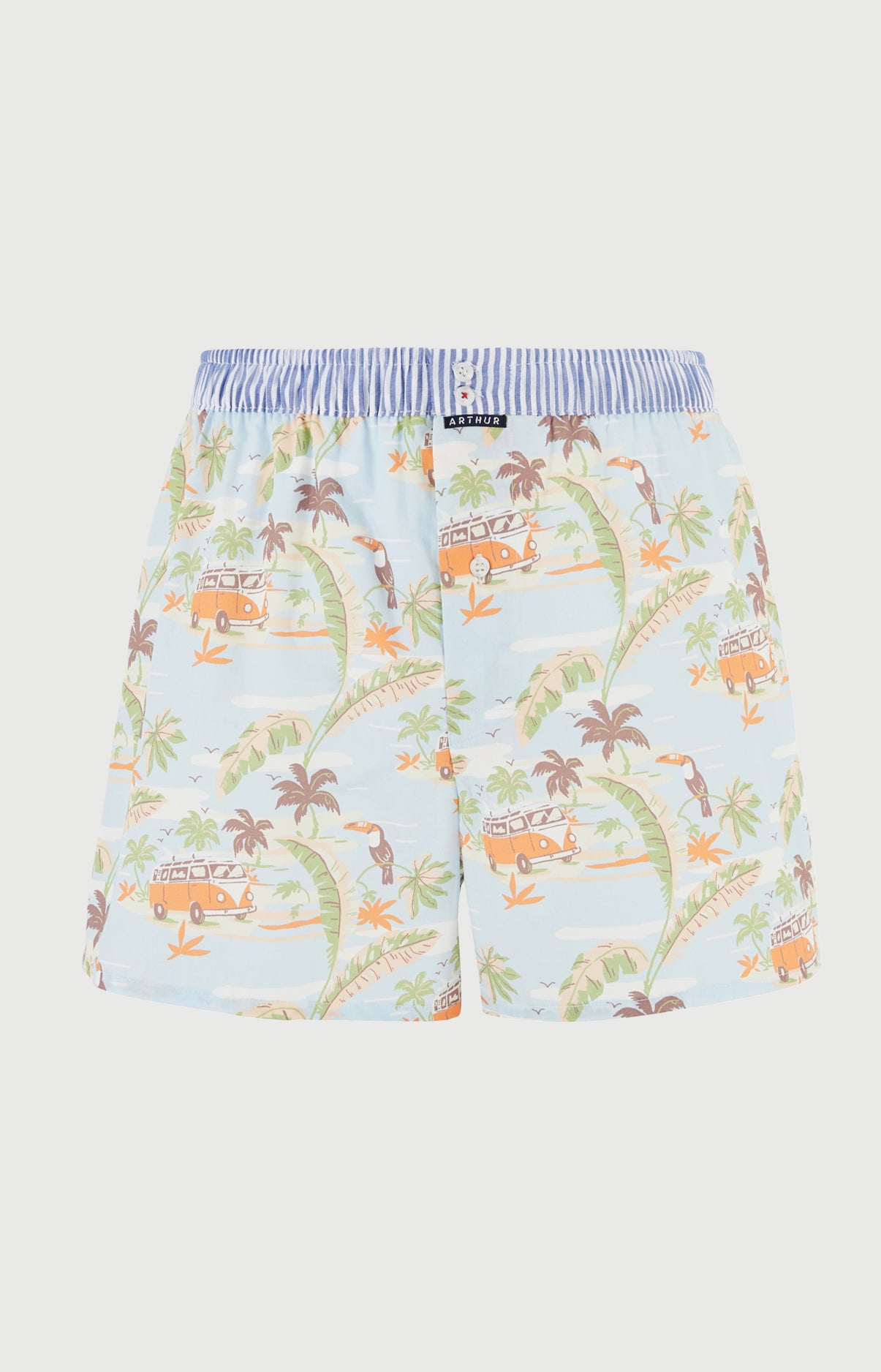 Caleçon avec suspensoir Le Club n°1226 Imprimé vannes et palmiers multicolores élastique rayé bleu et blanc 3