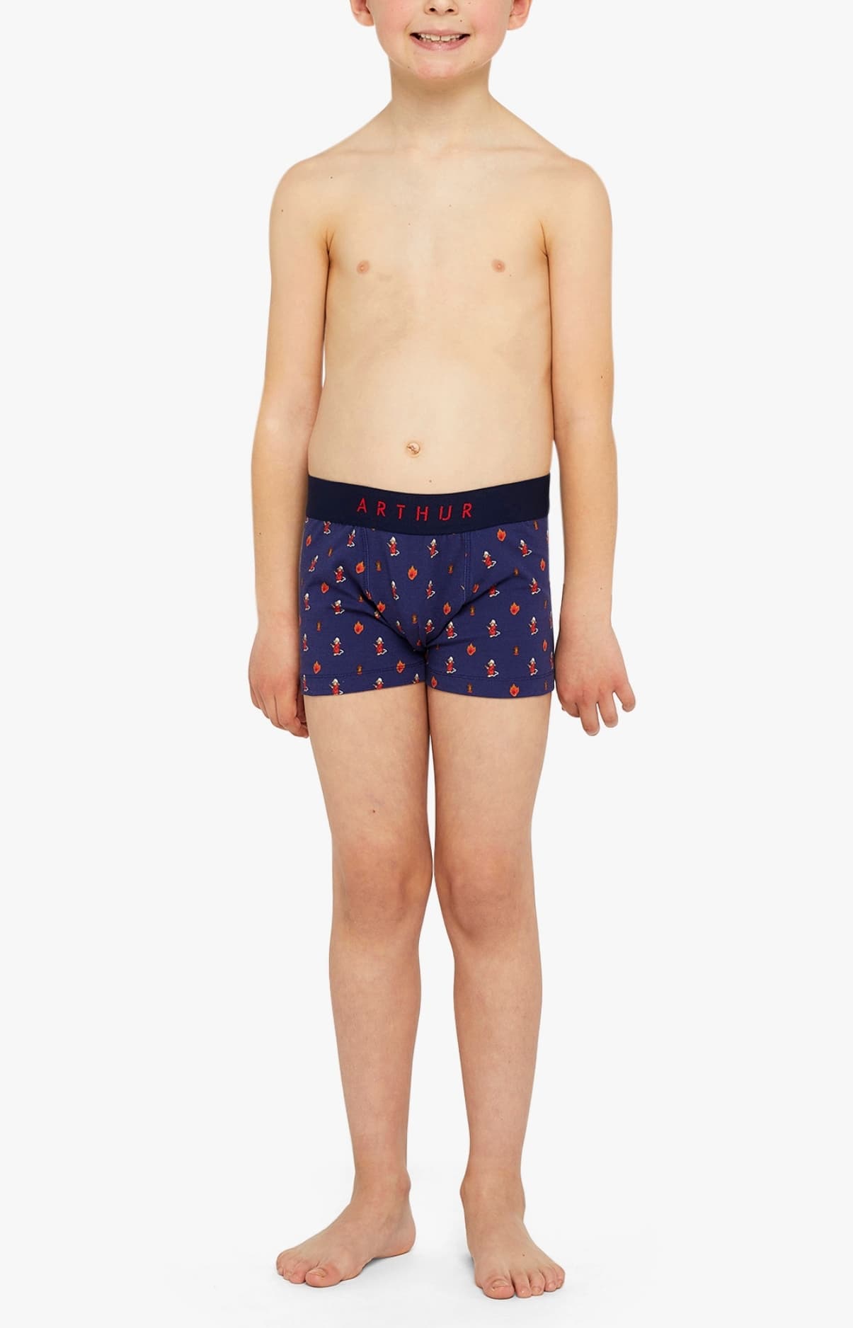 Boxer - On Fire Marine