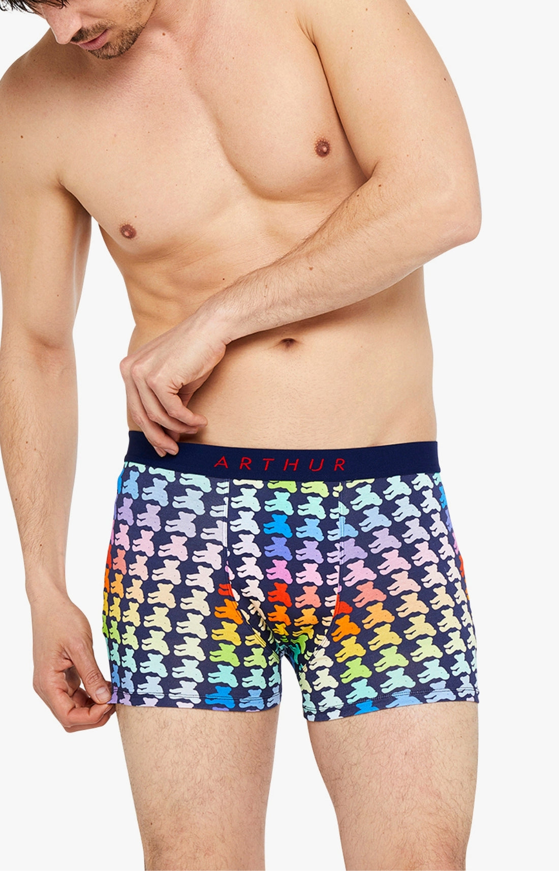 Boxer - Teddy Multicolore