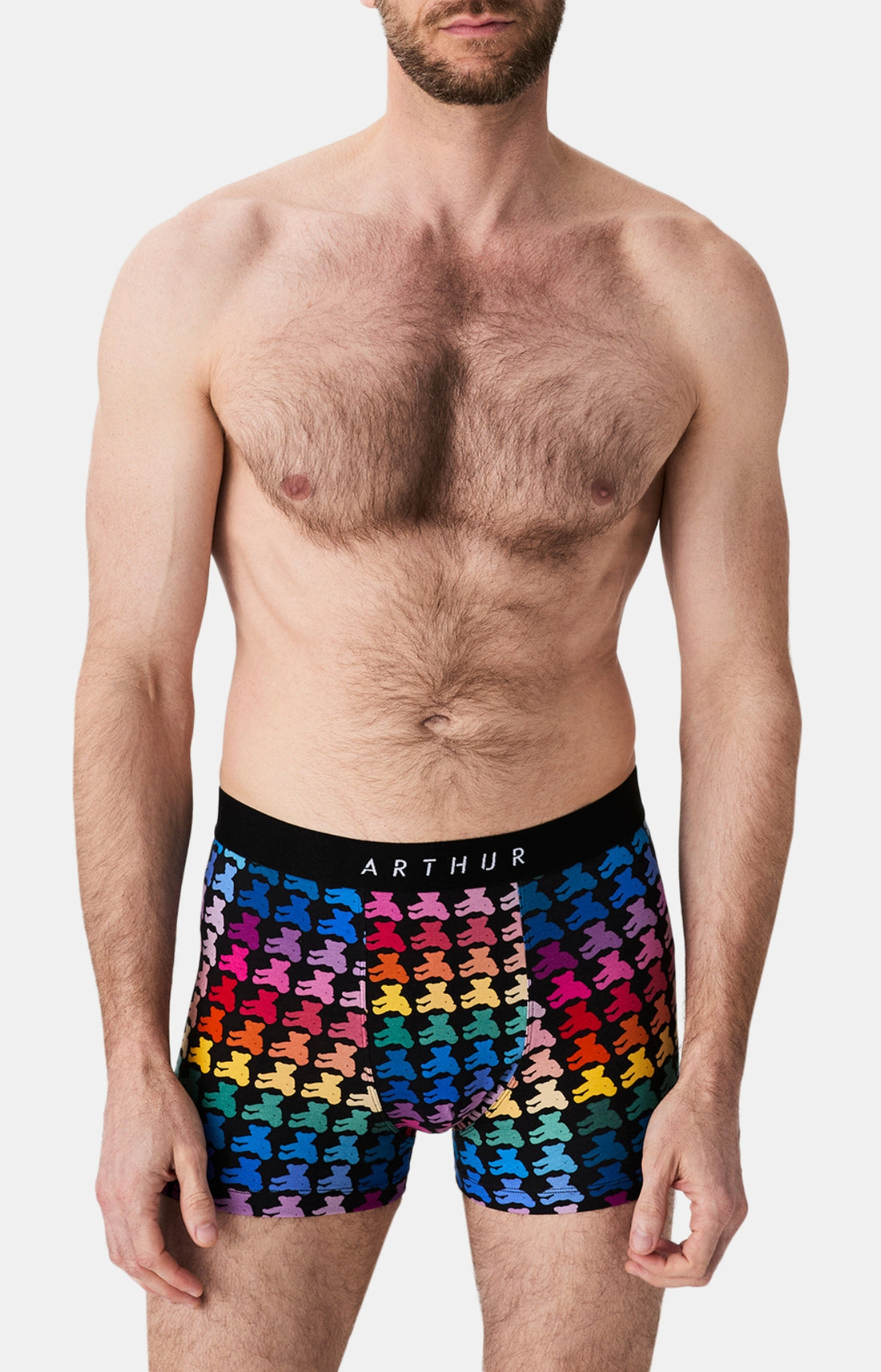 Boxers homme Teddy Bear MULTICOLORE 1