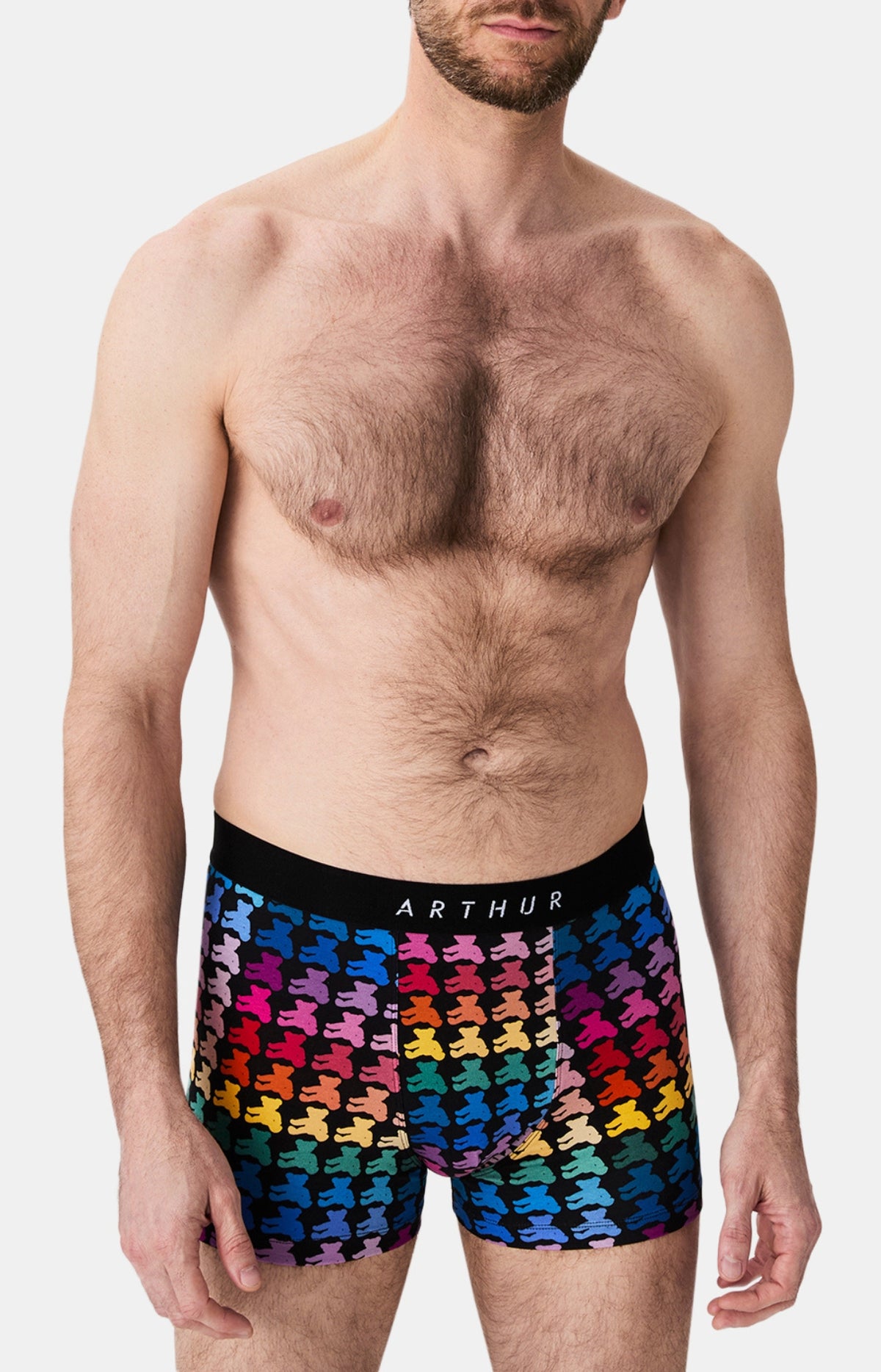 Boxers homme Teddy Bear MULTICOLORE 4