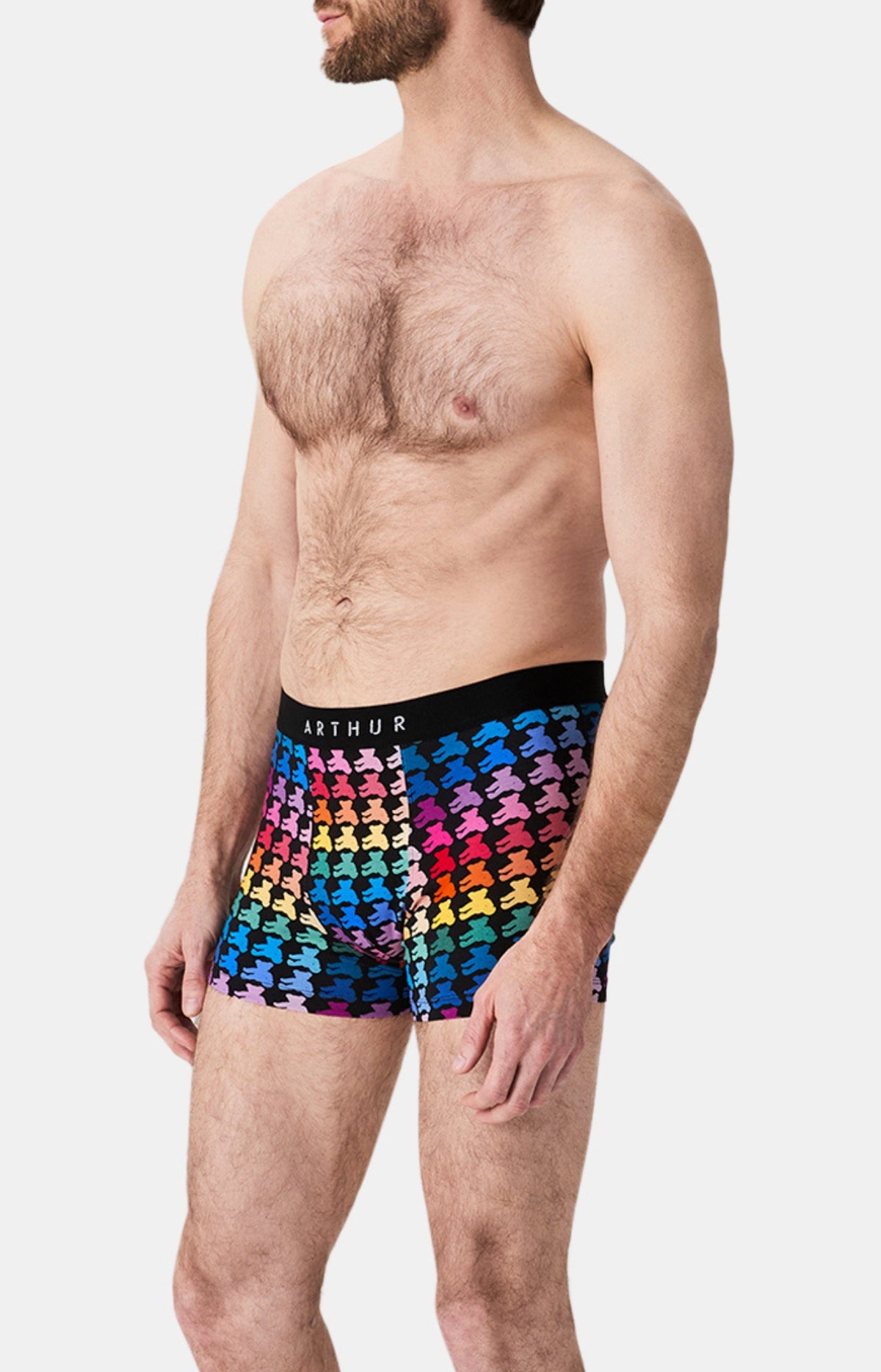 Boxers homme Teddy Bear MULTICOLORE 5