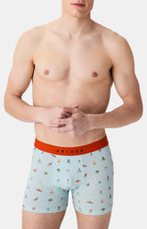Boxer camping Céladon 2