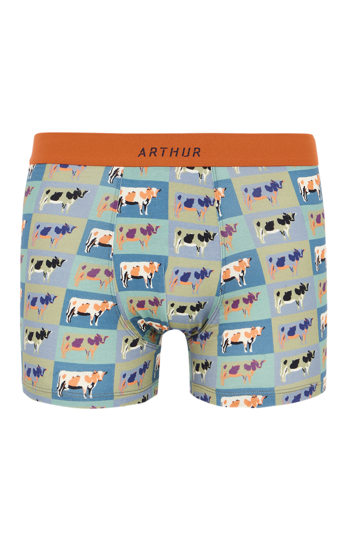 Boxers homme Vache MULTICOLORE 3