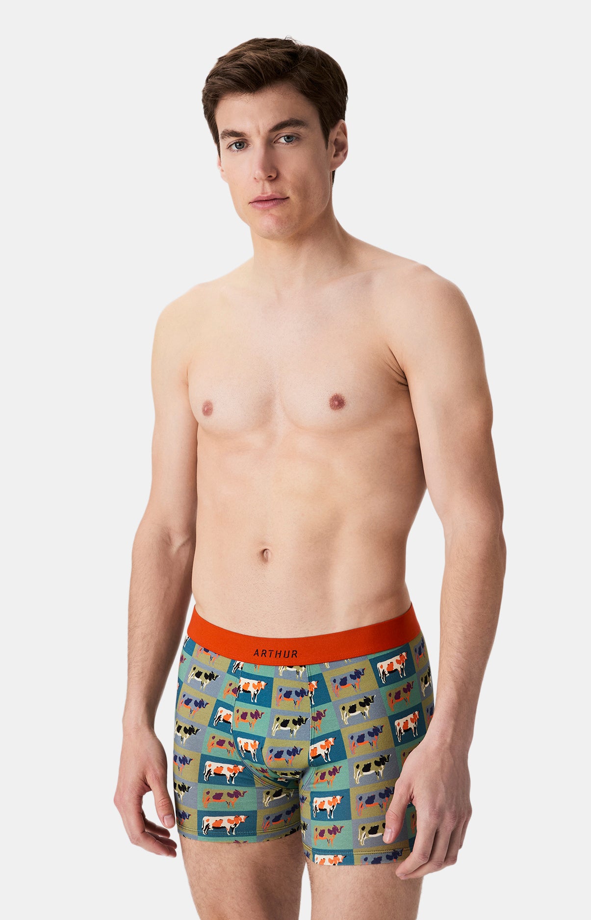 Boxers homme Vache MULTICOLORE 4