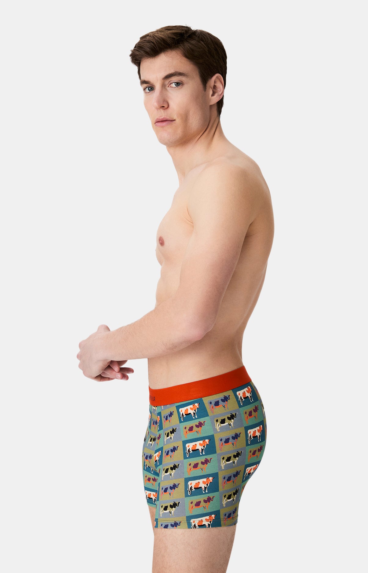 Boxers homme Vache MULTICOLORE 5