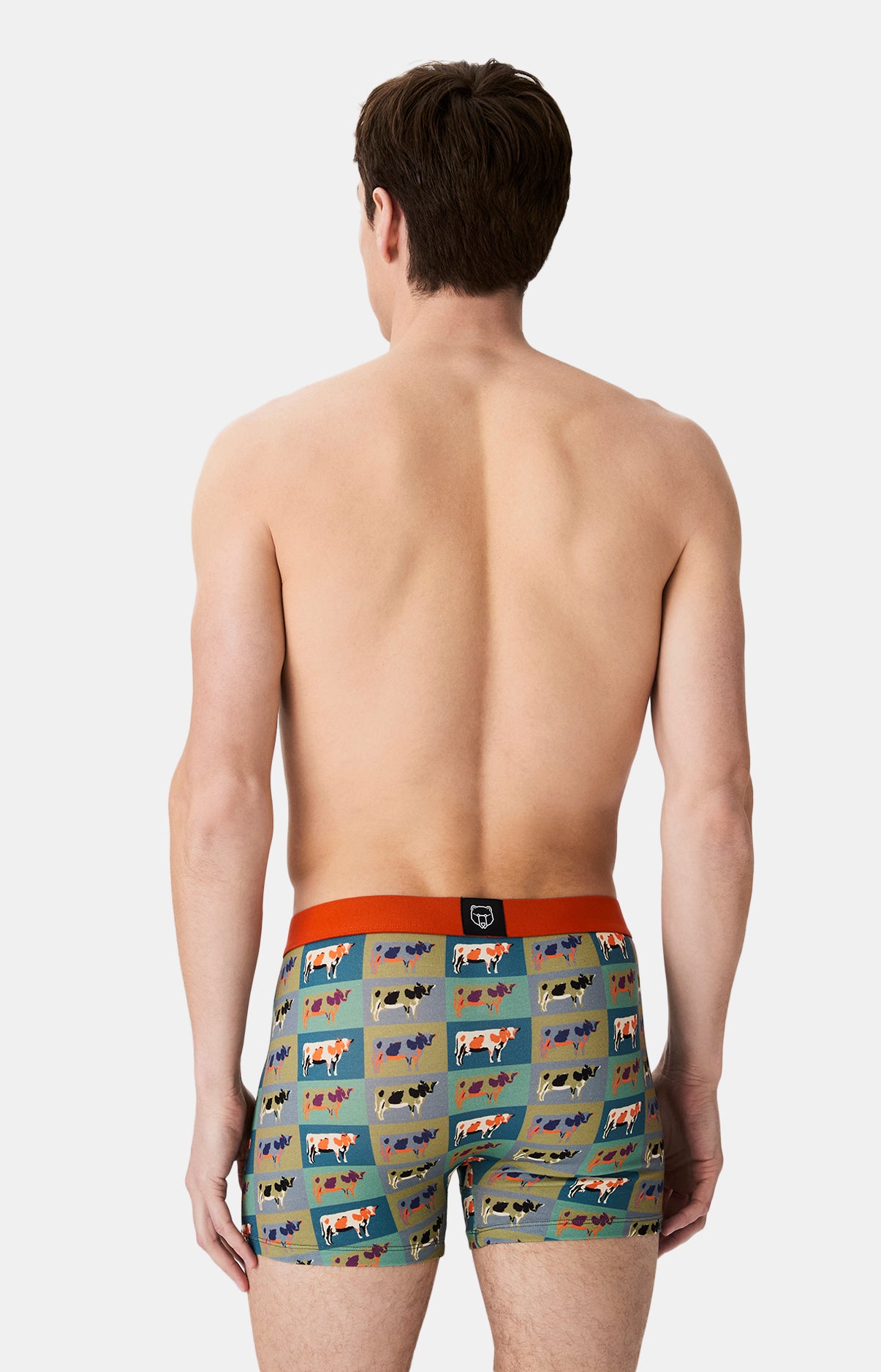 Boxers homme Vache MULTICOLORE 6
