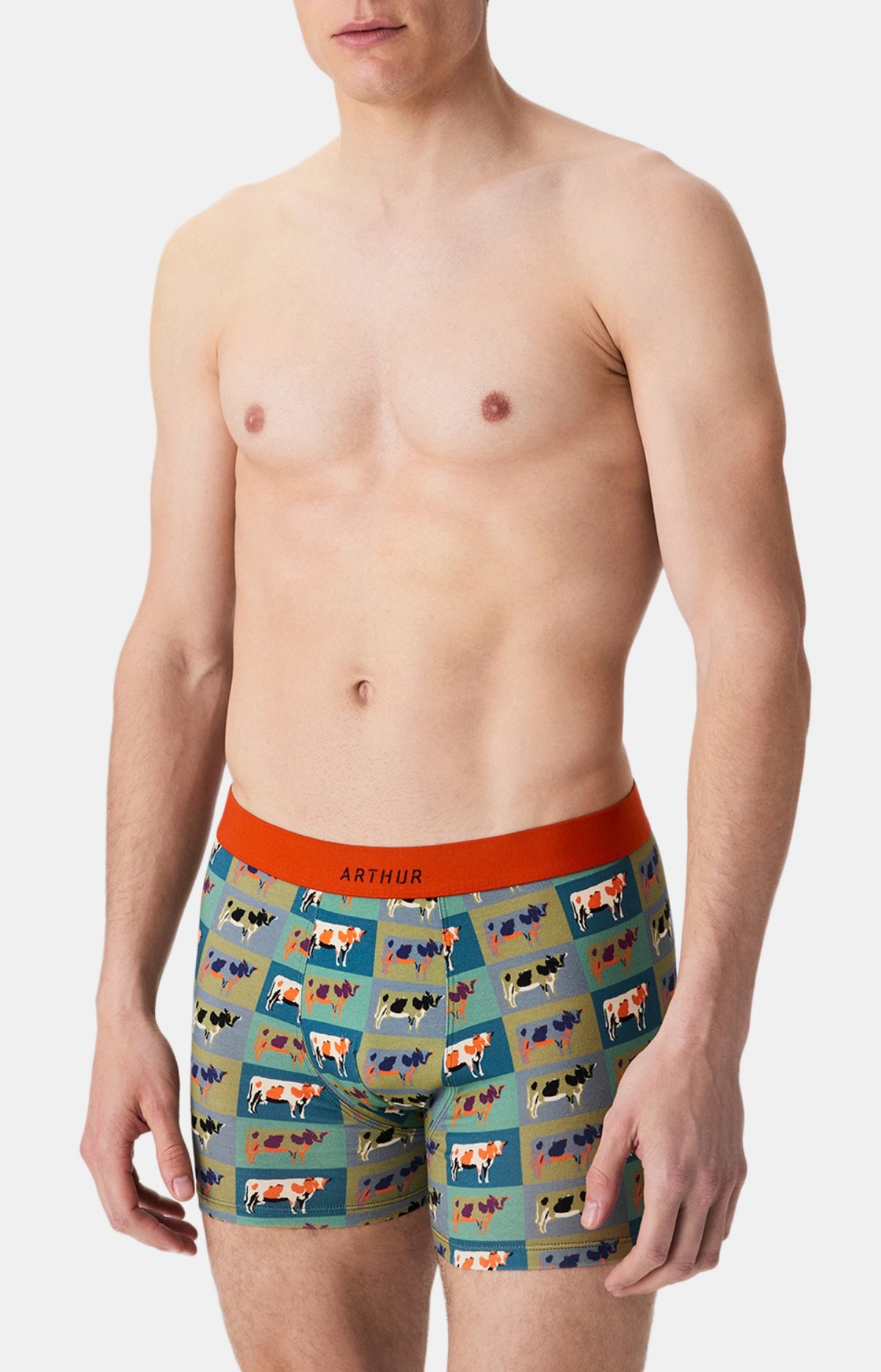 Boxers homme Vache MULTICOLORE 4
