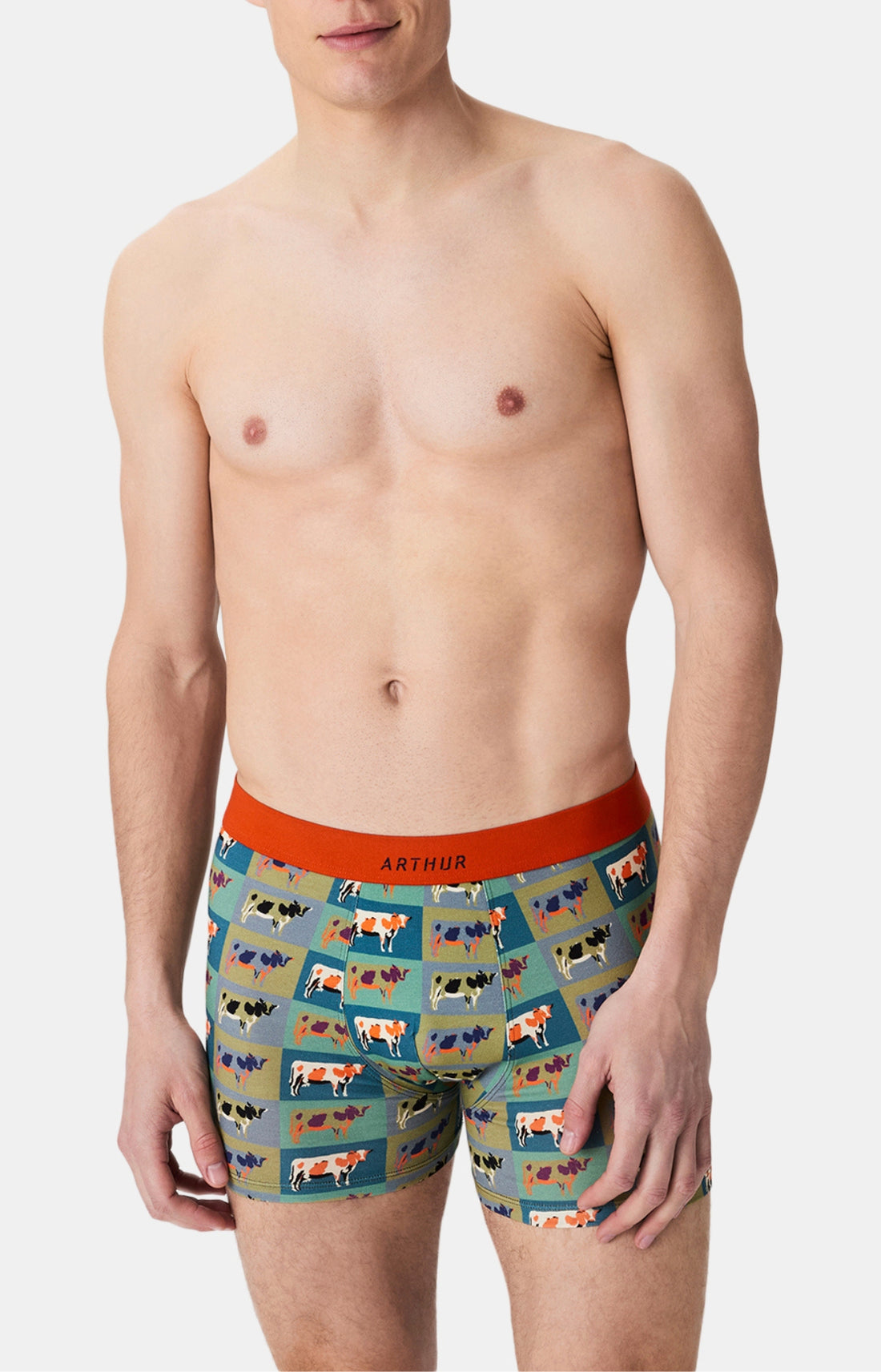 Boxers homme Vache MULTICOLORE 1