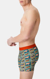 Boxers homme Vache MULTICOLORE 5