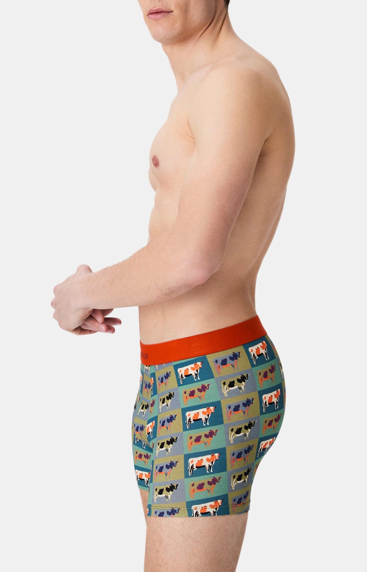 Boxers homme Vache MULTICOLORE 5