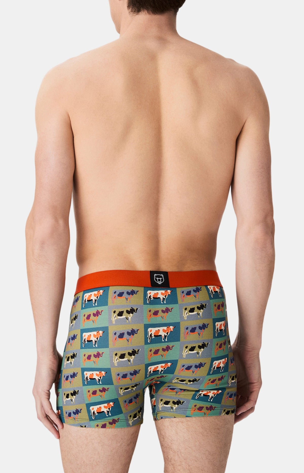 Boxers homme Vache MULTICOLORE 6