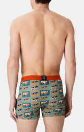 Boxers homme Vache MULTICOLORE 6