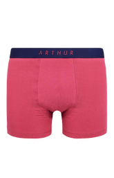 Boxer Coton 3