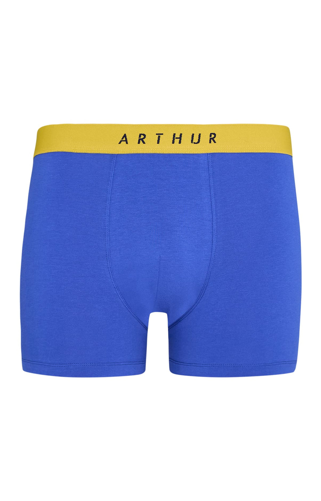 Boxer coton - Bleu roi 3