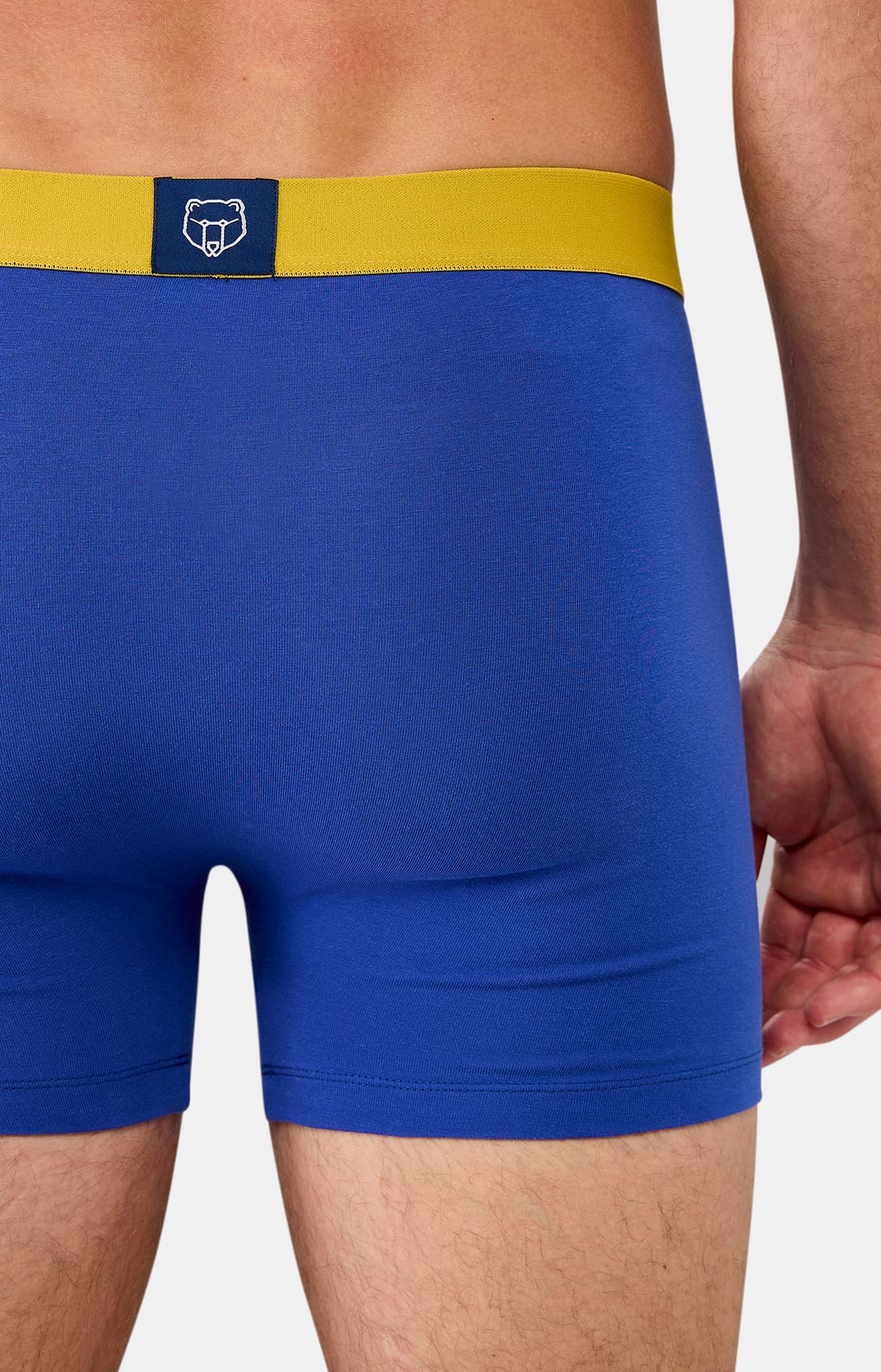 Boxer coton - Bleu roi 5