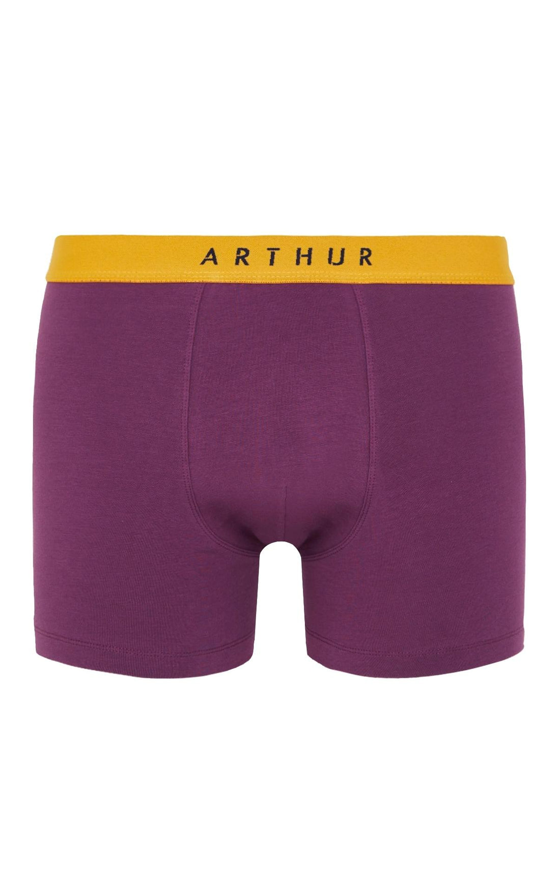 Boxer Marine Sous-vêtements homme Arthur – 