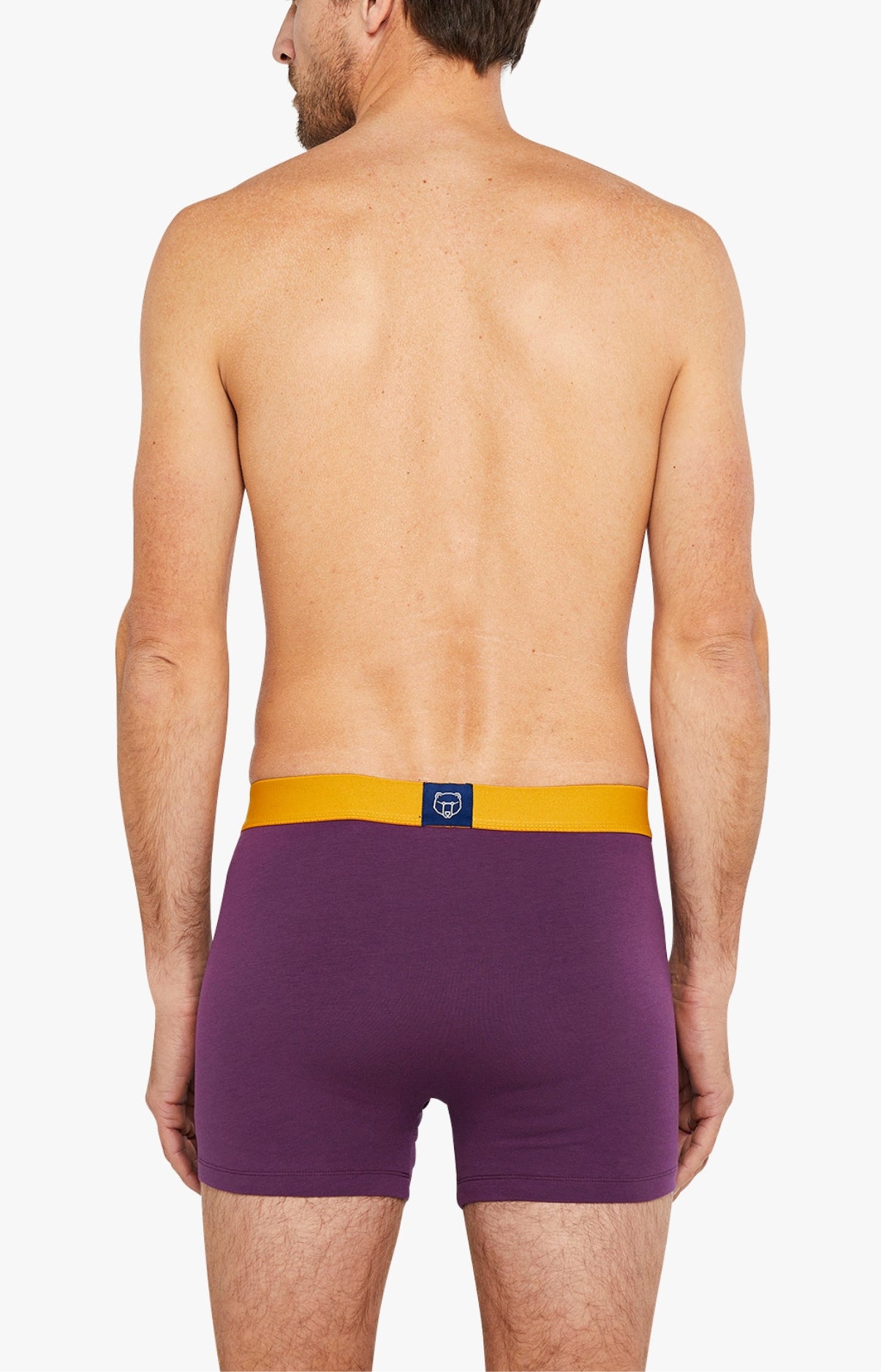 Boxer - Coton Aubergine