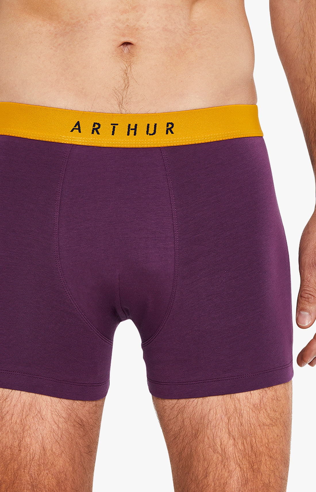 Boxer Homme Coton 2 Aubergine 1