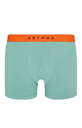 Boxer Homme Coton Homme Vert 3