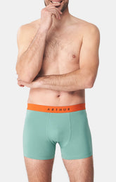 Boxer Homme Coton Homme Vert 2