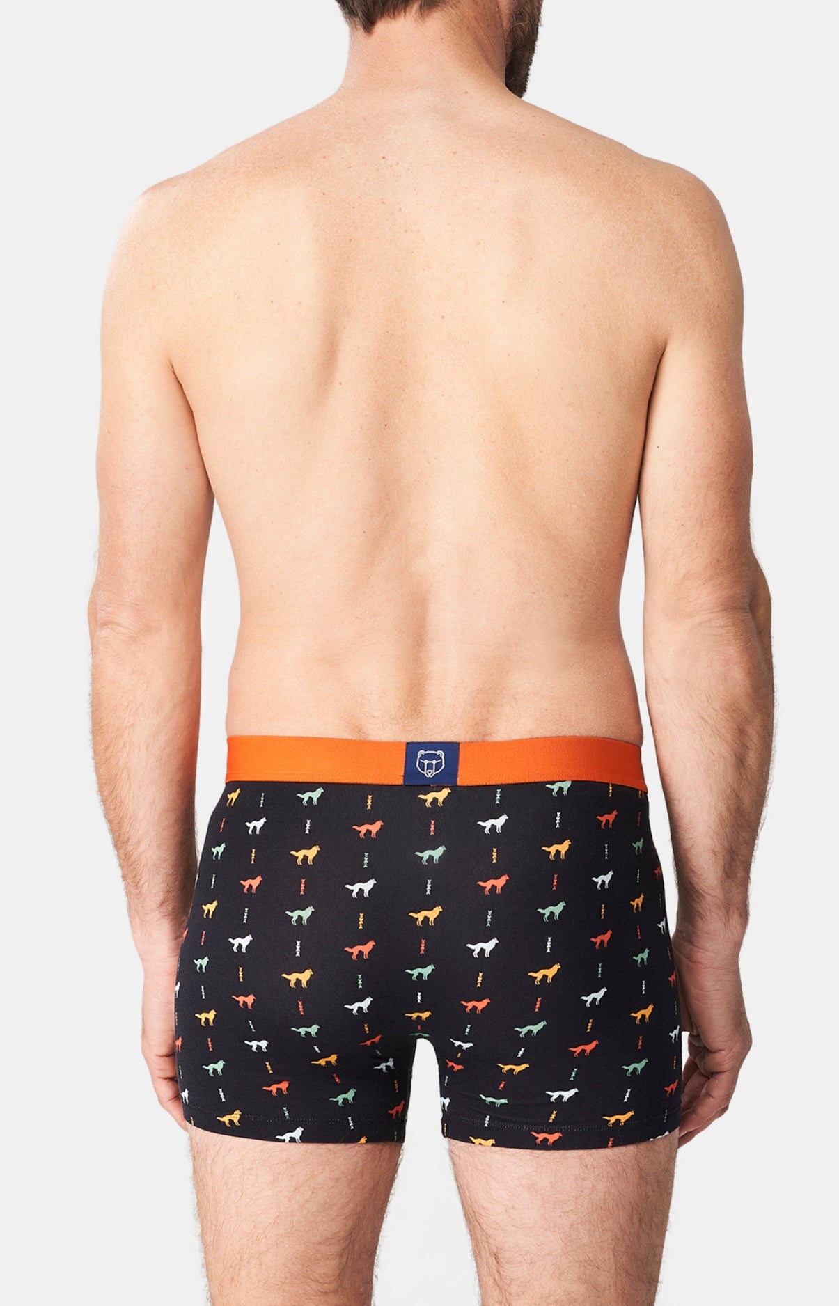 Boxer Homme Jeune loup Homme Noir 5