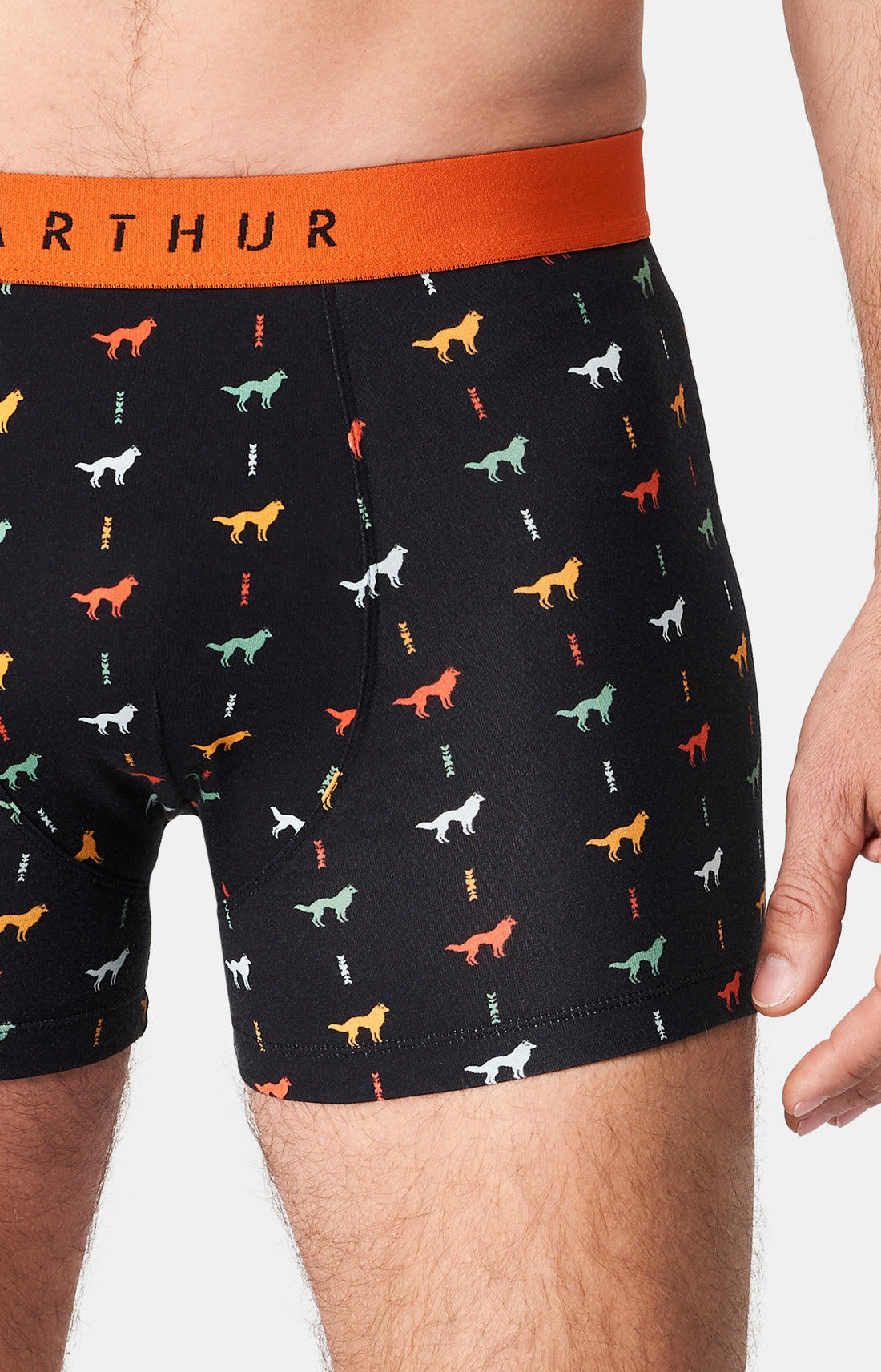 Boxer Homme Jeune loup Homme Noir 2