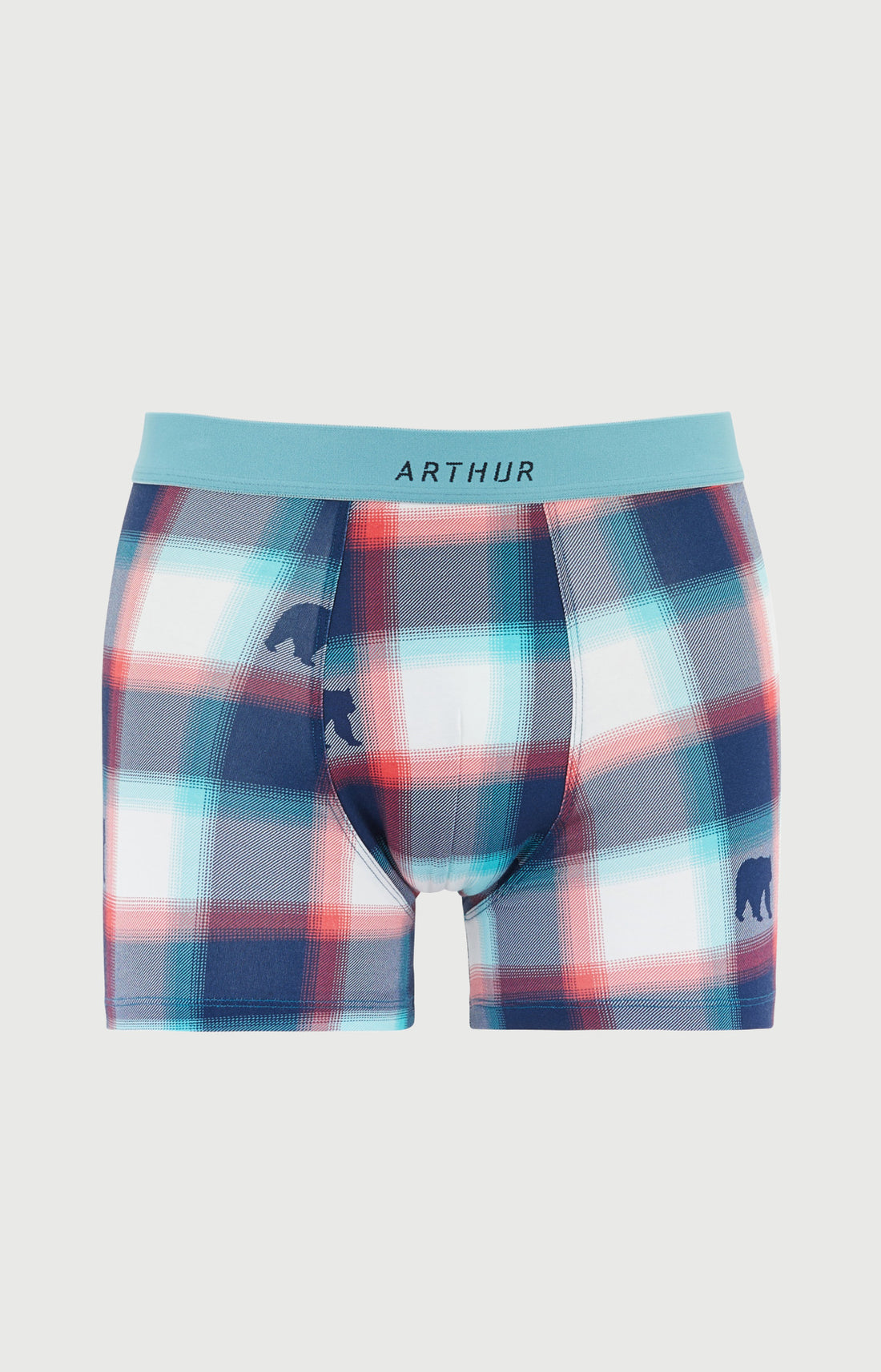 Boxers homme Bear MULTICOLORE 3