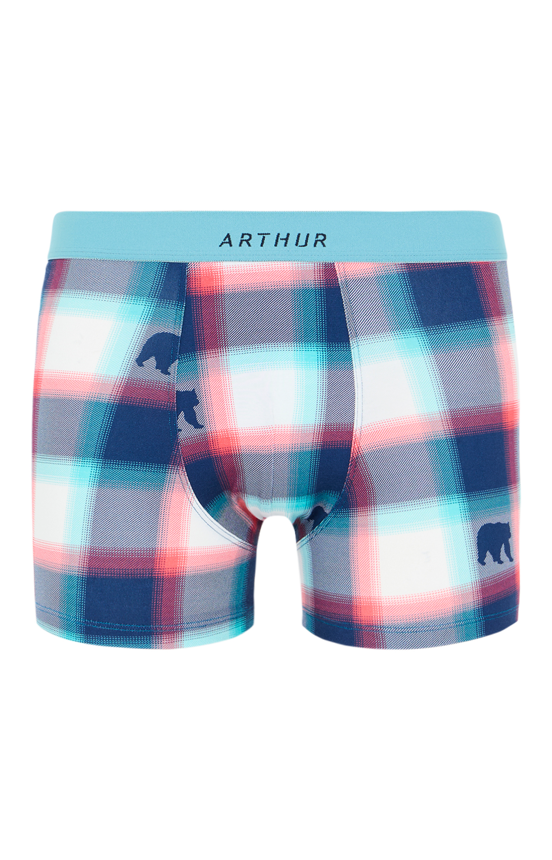 Boxers homme Bear MULTICOLORE 3