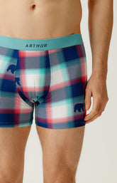 Boxers homme Bear MULTICOLORE 2
