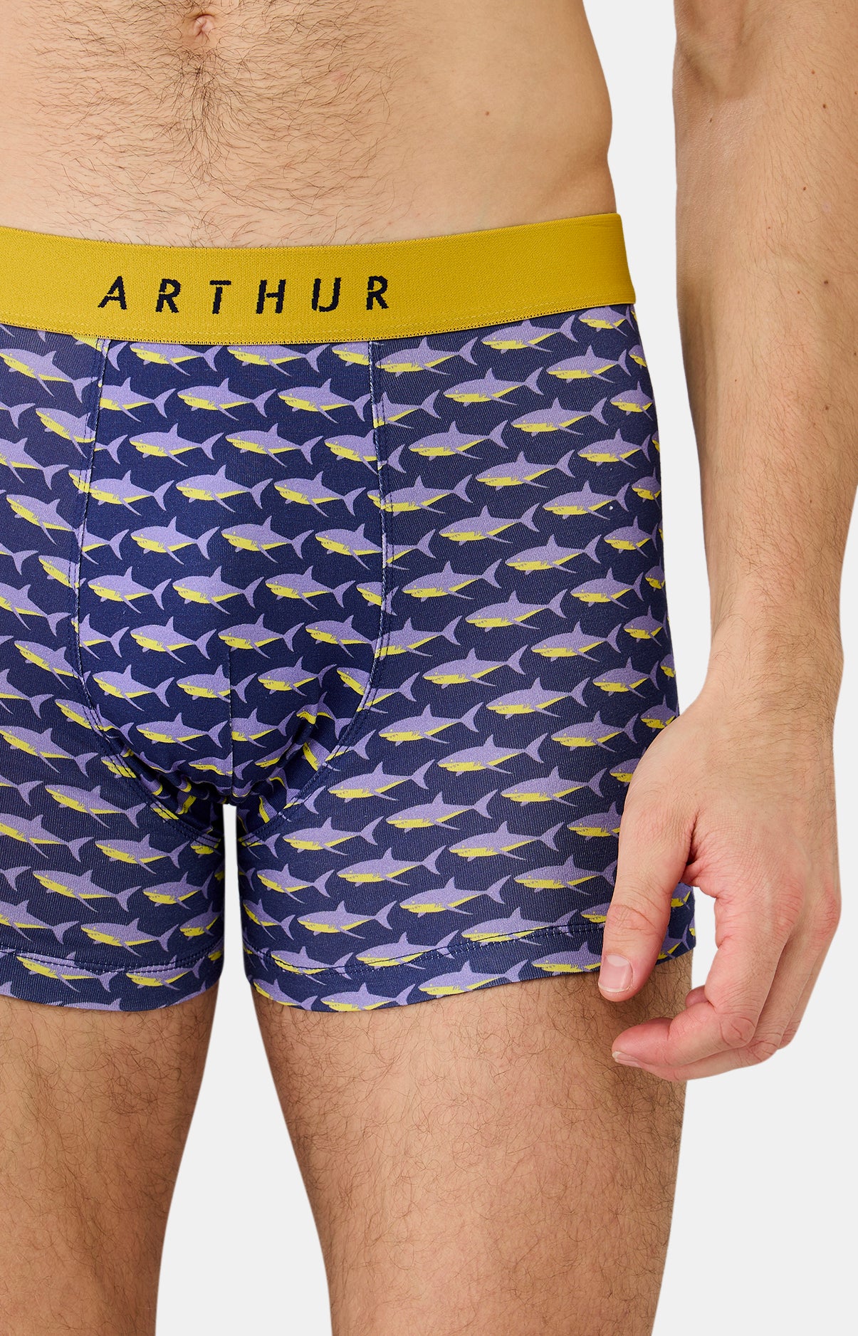 Boxer Homme Requin 2