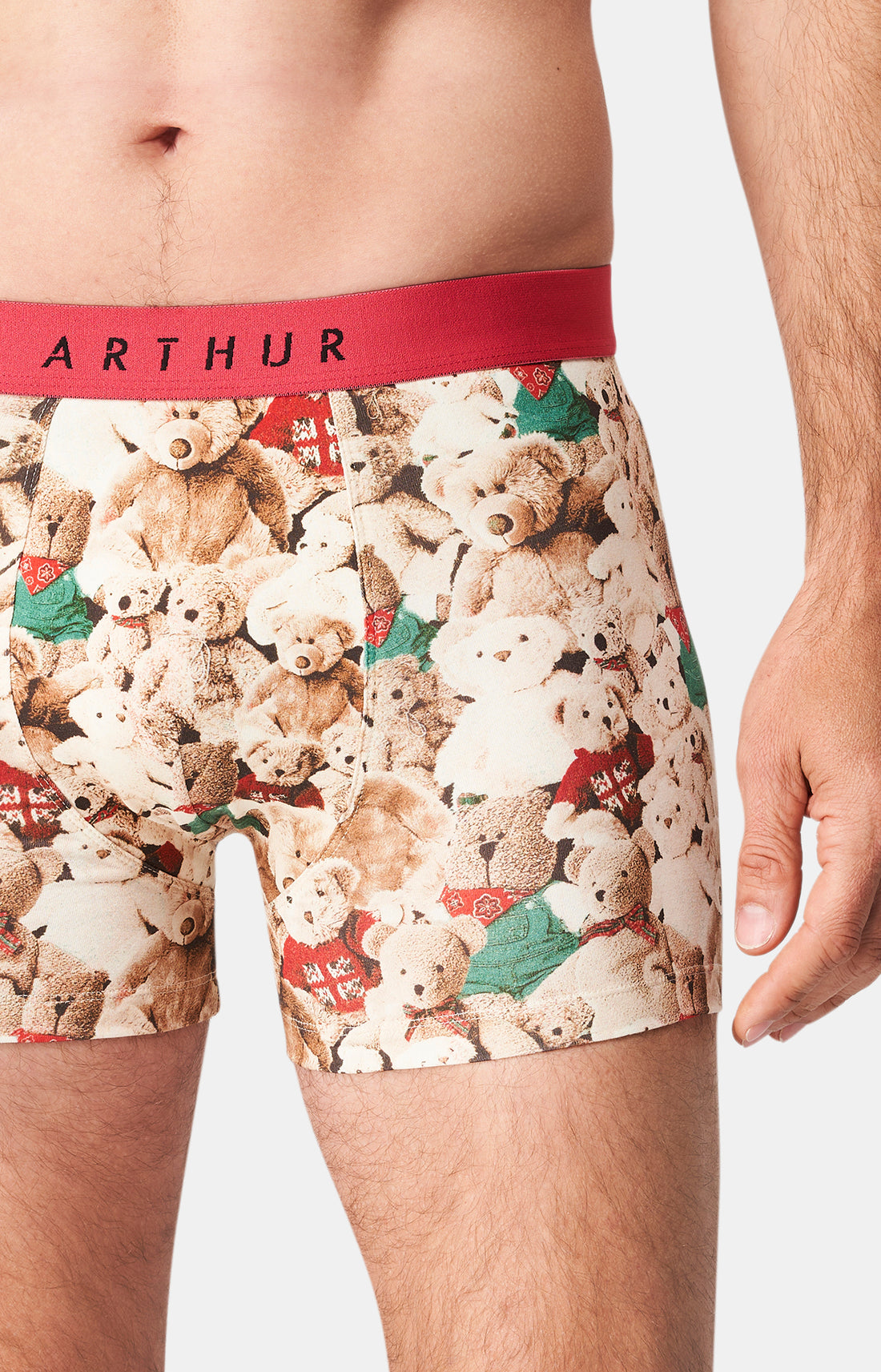 Boxer Homme Teddy Homme Beige et Marron 2
