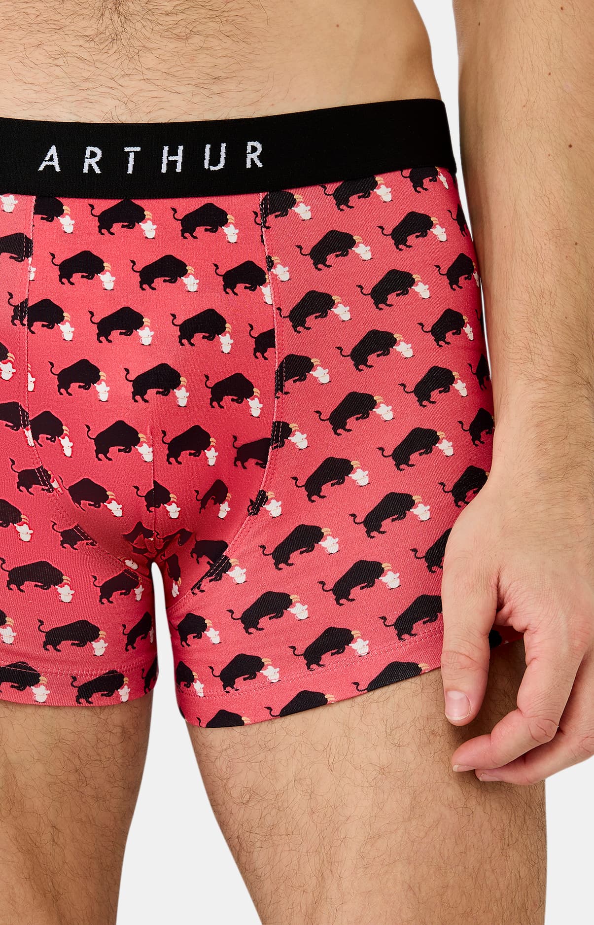 Boxer taureau olé - Rouge 1