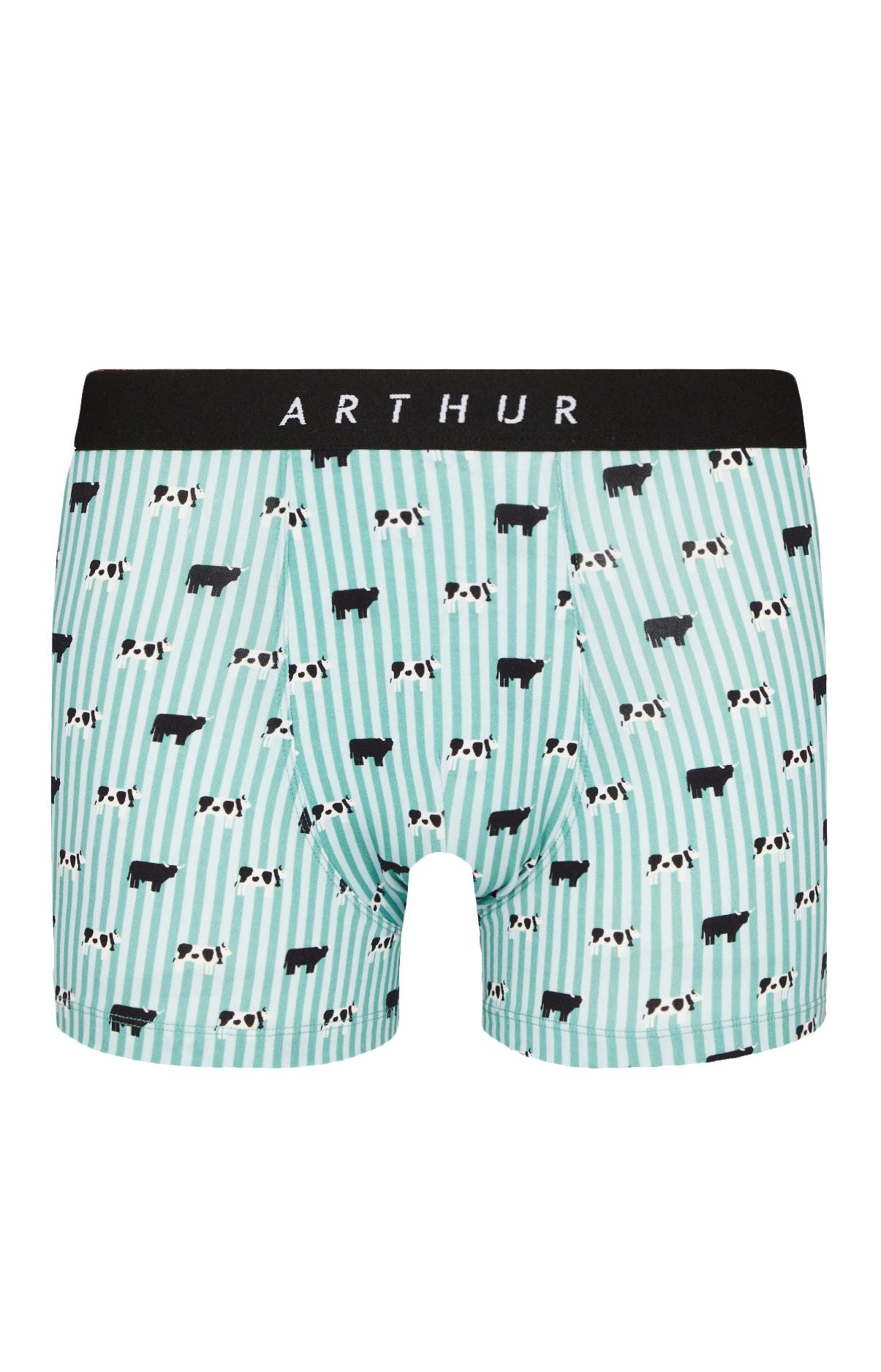 Boxer Homme Meeuuh Homme Vert 3