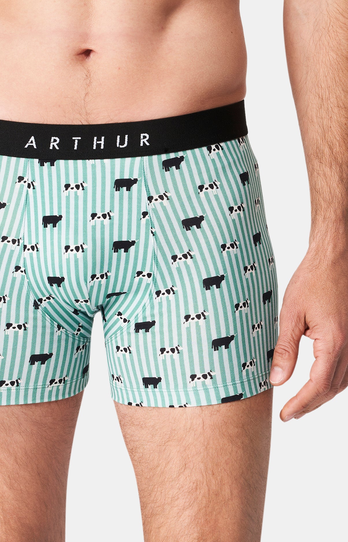 Boxer Homme Meeuuh Homme Vert 2