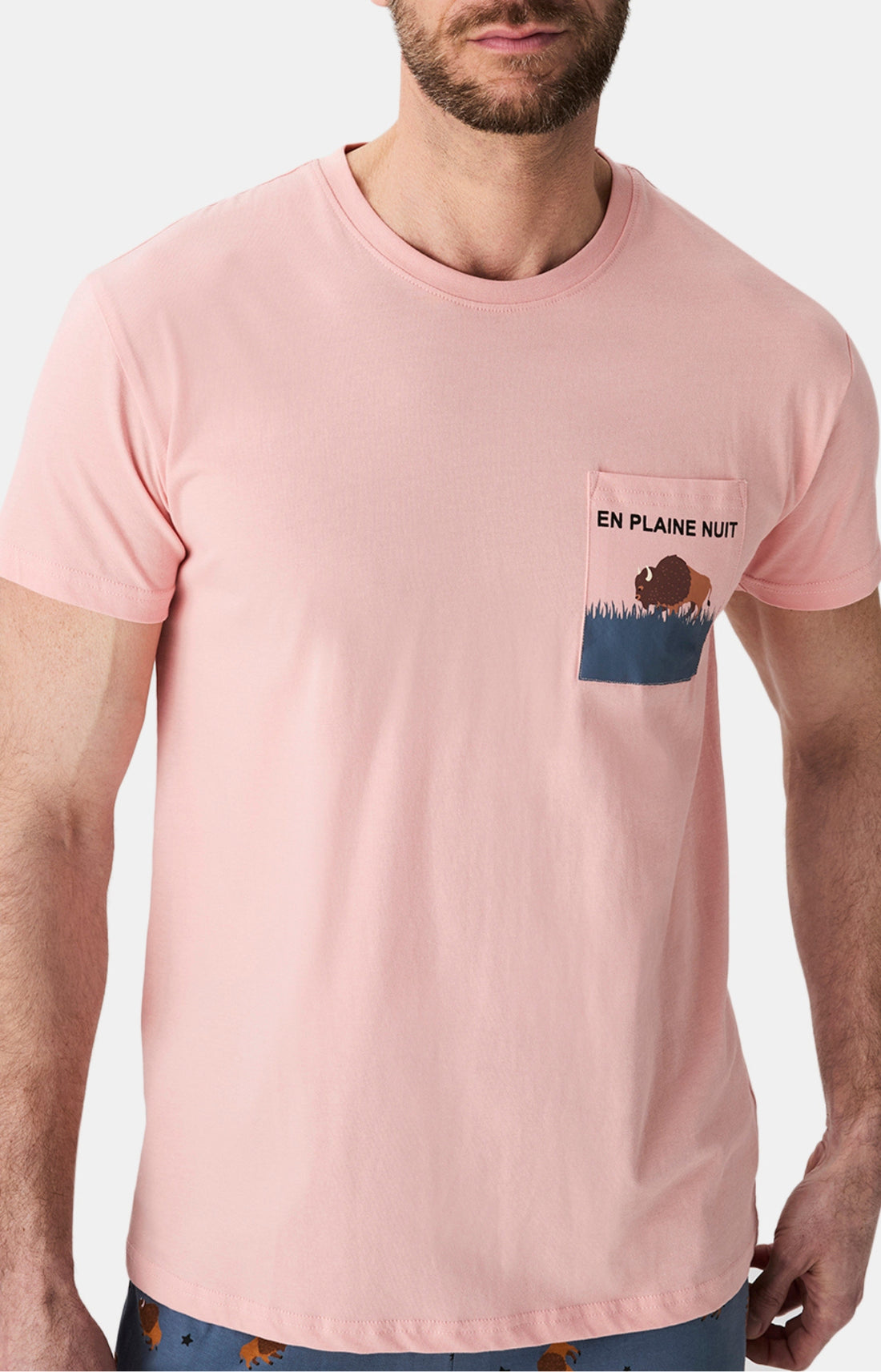 Pyjamas Homme En Plaine nuit ARDOISE 2