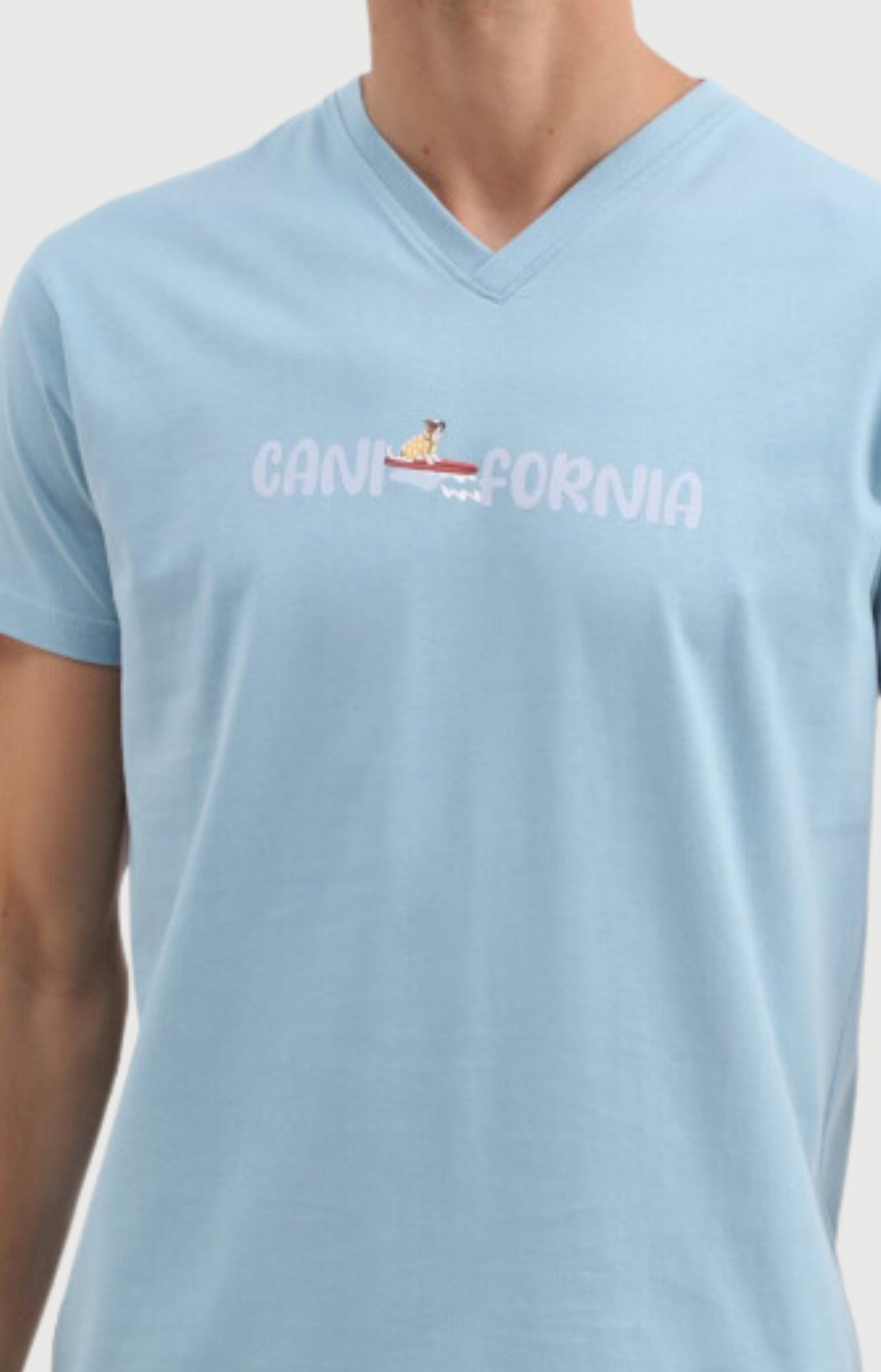 Pyjashort Homme Canifornia en jersey de coton léger 2