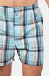 Caleçon classique à carreaux bleu Homme 2