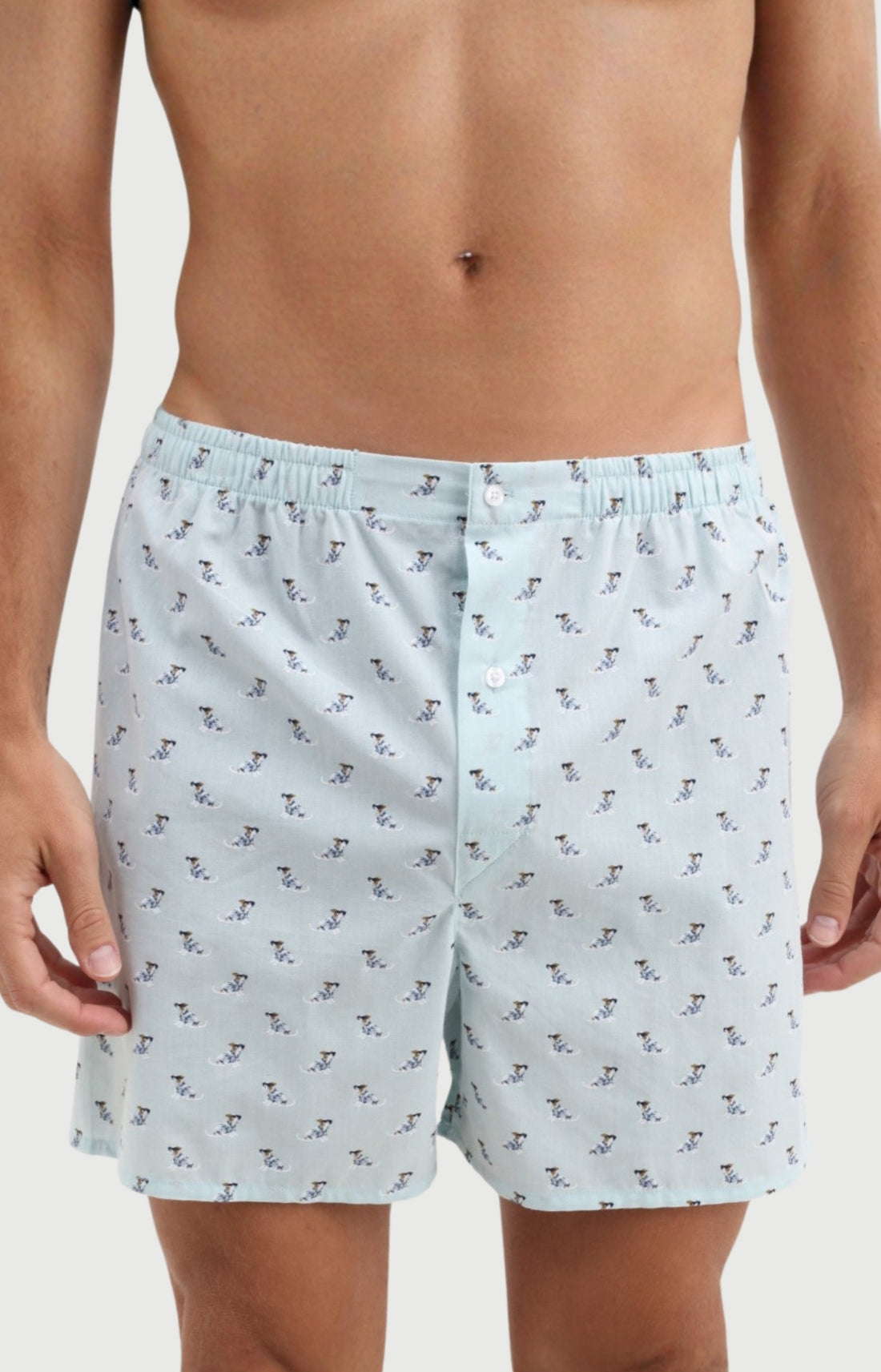Caleçon Homme Canifornia classique en popeline de coton 1