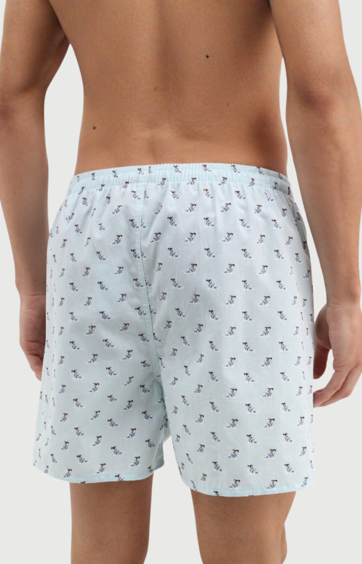Caleçon Homme Canifornia classique en popeline de coton 2