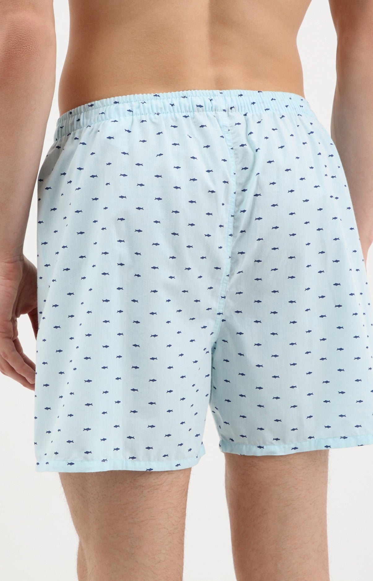 Caleçon homme requin bleu ciel 3
