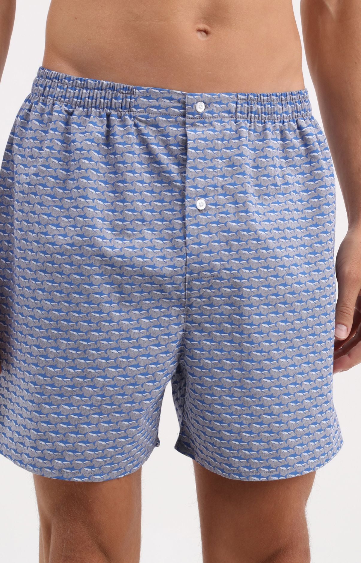 Caleçon sans suspensoir Shark Imprimé banc de requins 2