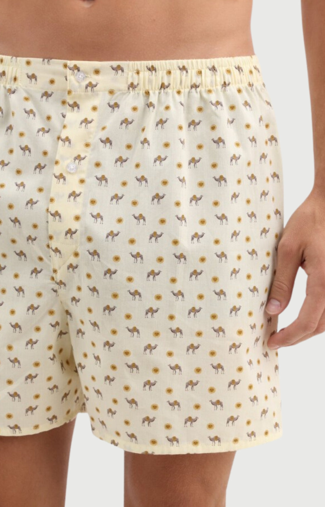 Caleçon Homme Dromadaire classique en popeline de coton 4