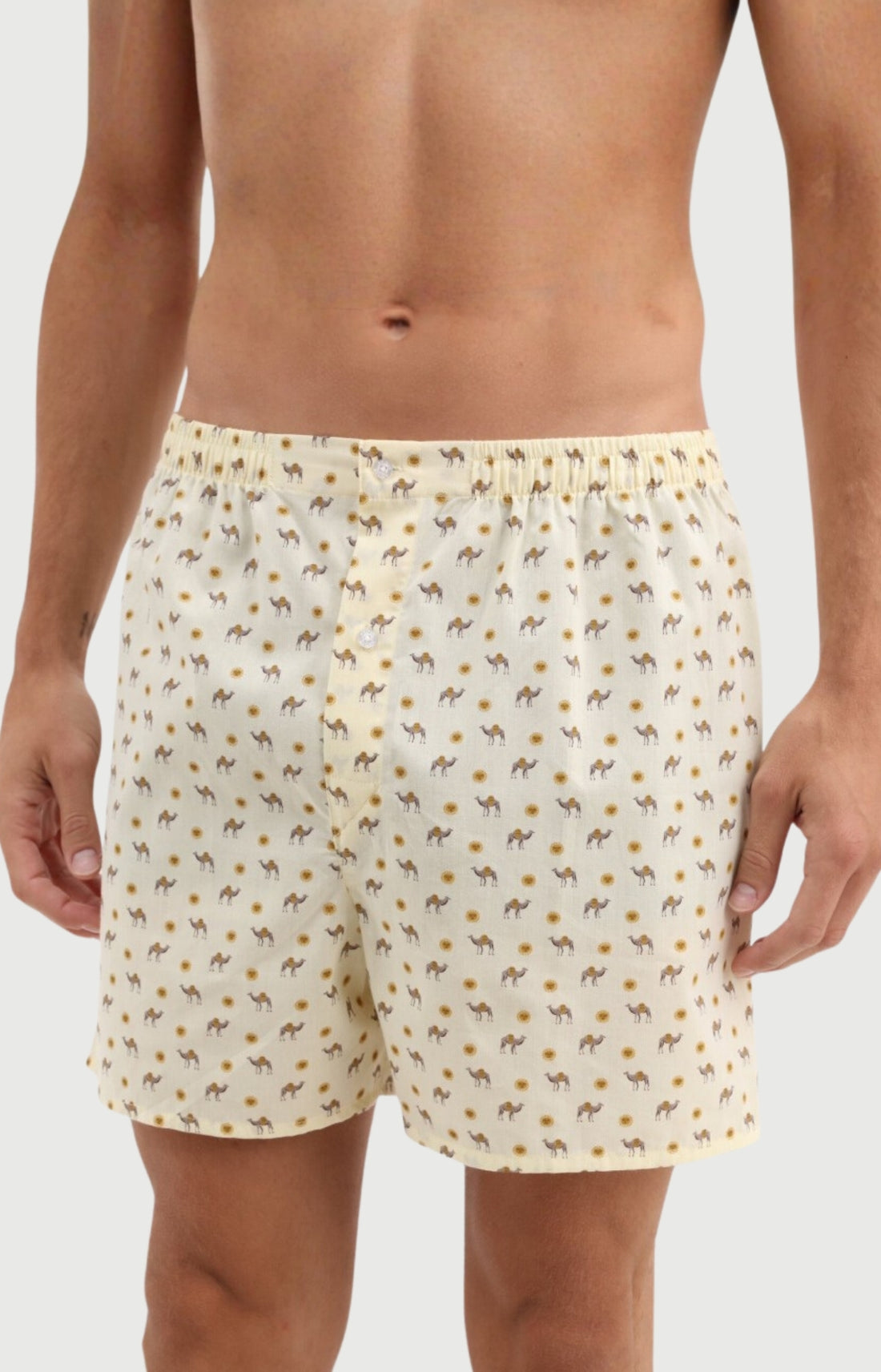 Caleçon Homme Dromadaire classique en popeline de coton 2