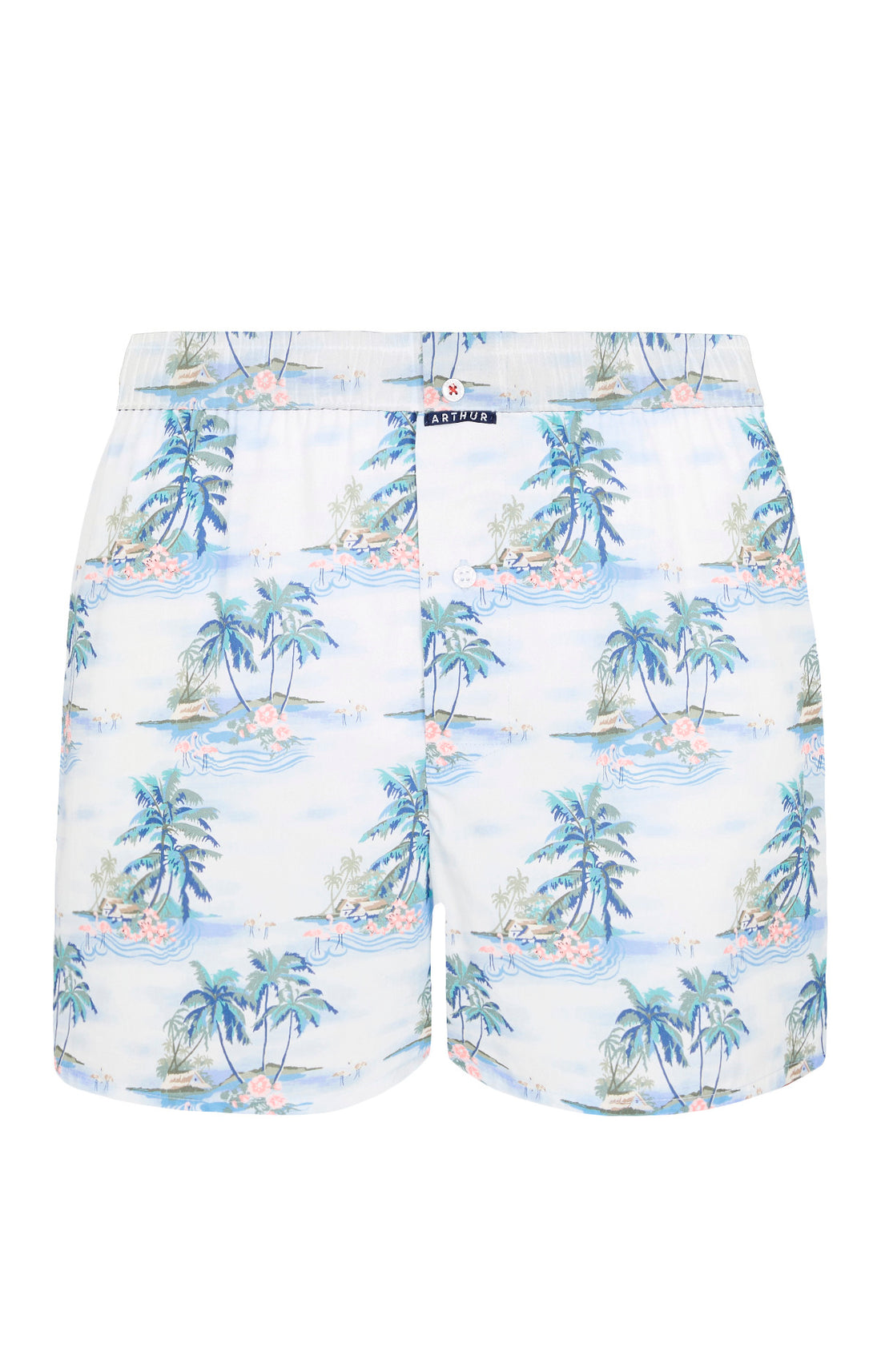 Caleçon classique Homme Hawai Bleu 3 Ghost